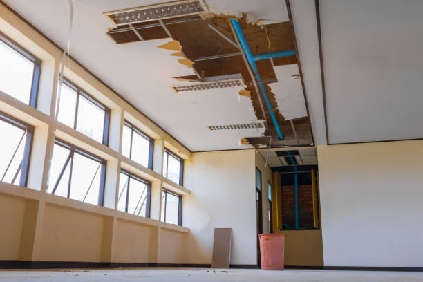 Best Water damage contractors near me  in Gold Beach, OR
