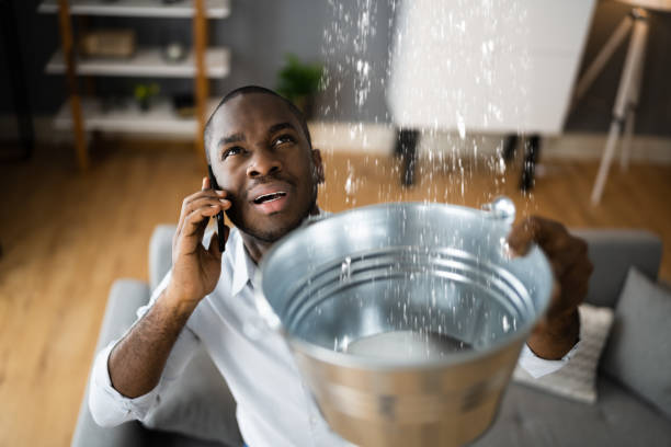 Best Water damage restoration company  in Gold Beach, OR