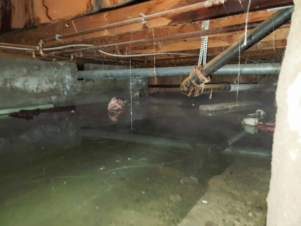 Best Water damage cleanup near me  in Gold Beach, OR