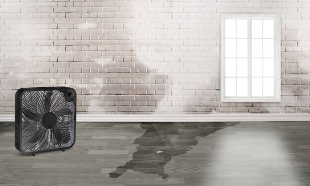Professional Water damage restoration in Gold Beach, OR