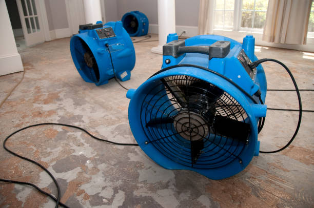 Best 24/7 water damage repair  in Gold Beach, OR