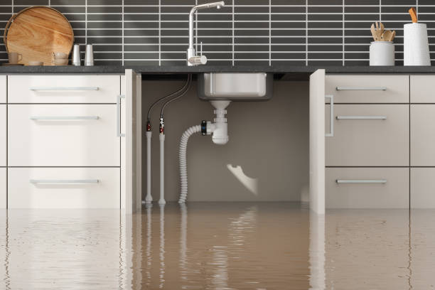 Best Flooded house restoration  in Gold Beach, OR